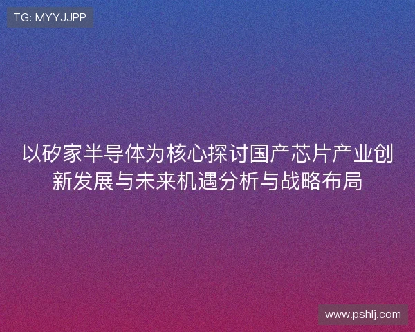 以矽家半导体为核心探讨国产芯片产业创新发展与未来机遇分析与战略布局